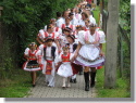 KrojovanĂ© hody 2008