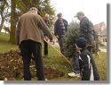 Výsadba nového vánočního stromu - březen 2015