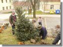Výsadba nového vánočního stromu - březen 2015